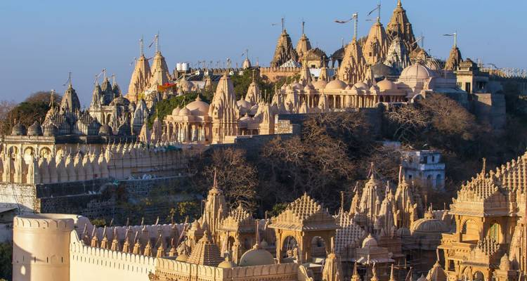 Uitgestrekt luchtbeeld van Palitana's goudkleurige Jain-tempelstad die een heuveltop bekroont.