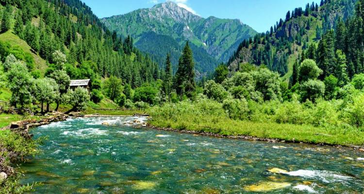 Rivière de montagne cristalline serpentant à travers une luxuriante forêt de pins avec un sommet enneigé à Pahalgam.