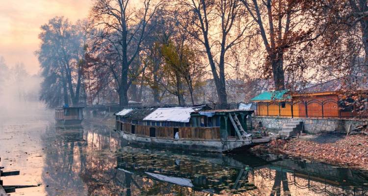 Péniches en bois amarrées le long d'un lac calme bordé de grands arbres dénudés sous une brume matinale aux couleurs pastel.