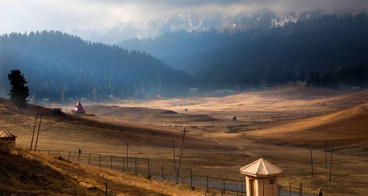 Large vallée de prairies alpines sèches encadrée par des collines de conifères sombres et des sommets couverts de brume.