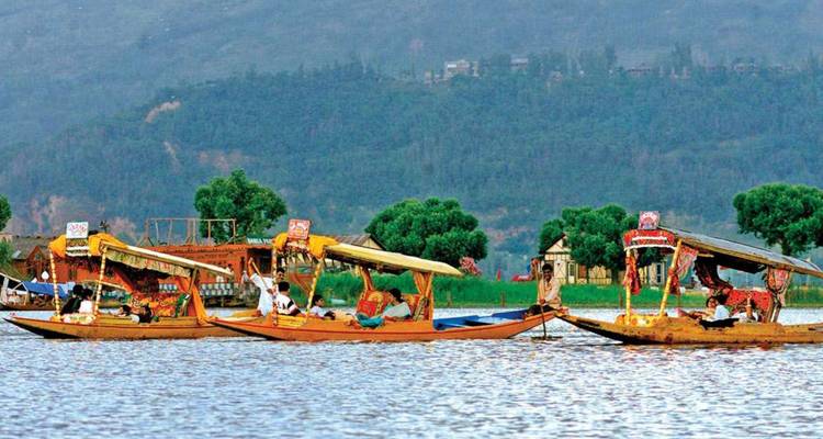 Des shikaras colorés glissent sur un lac calme avec des collines verdoyantes en arrière-plan.