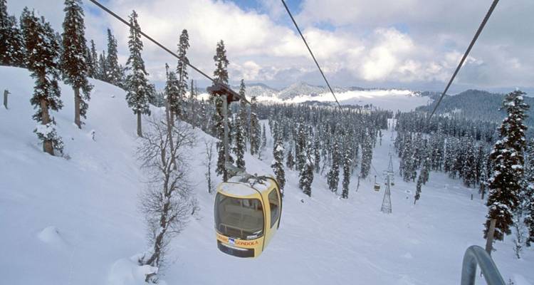 Le téléphérique glisse au-dessus d'une dense forêt de pins enneigés par une claire journée d'hiver.