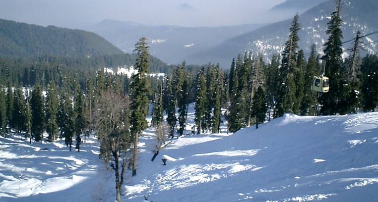 Pentes de conifères enneigées avec télécabine au loin et montagnes brumeuses.
