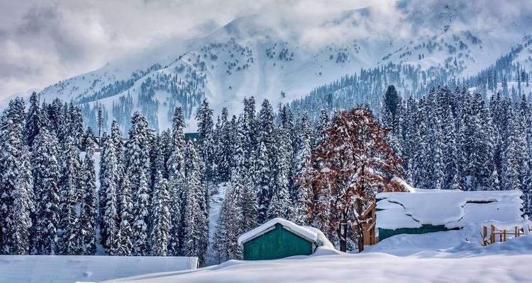 Cabanes pittoresques chargées de neige au milieu d'une dense forêt de pins givrés sur un versant de montagne.