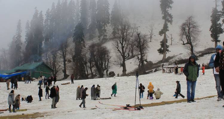 Menschenmenge genießt Schneeaktivitäten an einem nebligen Hang, umgeben von hohen Nadelbäumen in Gulmarg.
