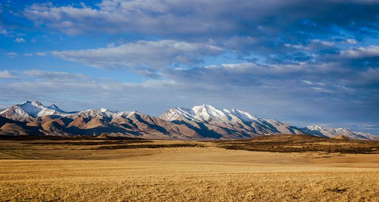 Brede grasvlaktes van het Tibetaanse plateau met een verre besneeuwde bergketen onder een blauwe hemel.