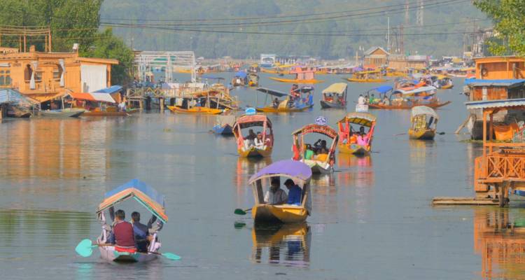 Dutzende bunter Shikaras mit Passagieren gleiten über einen ruhigen See vor dem Hintergrund grüner Hügel und entfernter Berge.