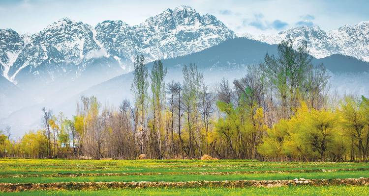 Schneebedeckte Bergkette, die sich hinter frühlingshaften Bäumen und grünen landwirtschaftlichen Feldern erhebt.