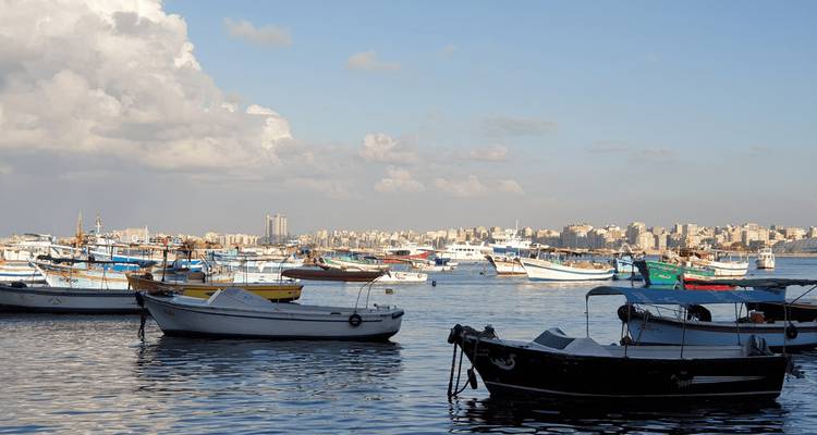 Puerto de Alejandría con numerosos pequeños botes pesqueros flotando en agua azul tranquila bajo un cielo despejado.