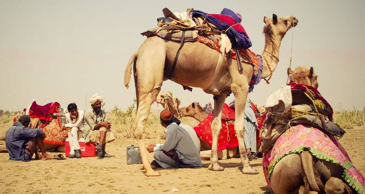 Caravana de camellos y pastores descansando en el desierto arenoso bajo un cielo brumoso