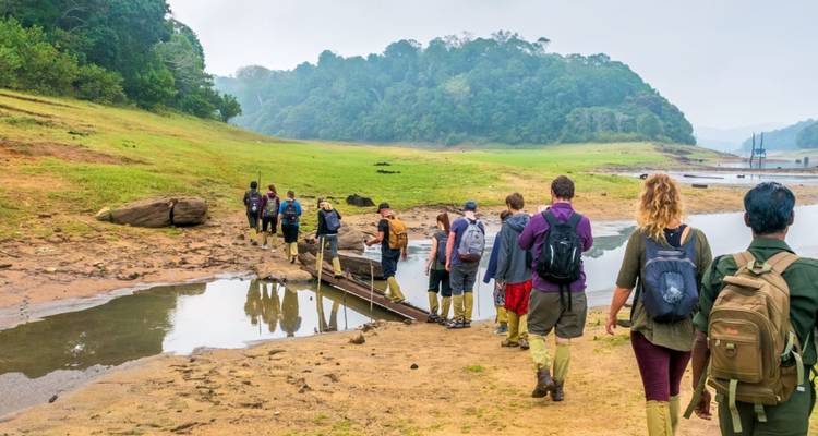 Ligne de randonneurs avec sacs à dos et bottes en caoutchouc marchant le long de la rive boueuse du lac à travers une réserve luxuriante
