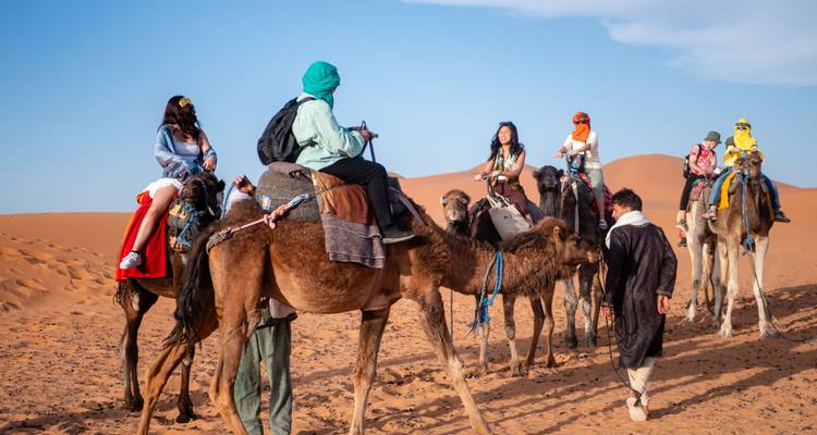 Les voyageurs montent sur des chameaux pour un périple désertique, guidés par un guide à travers des dunes ondulantes de couleur orange.