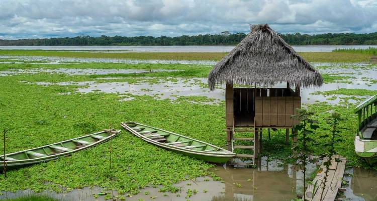 Bras mort tranquille de l'Amazone avec deux canoës en bois vert et une petite hutte au toit de chaume entourée de végétation flottante sous un ciel nuageux