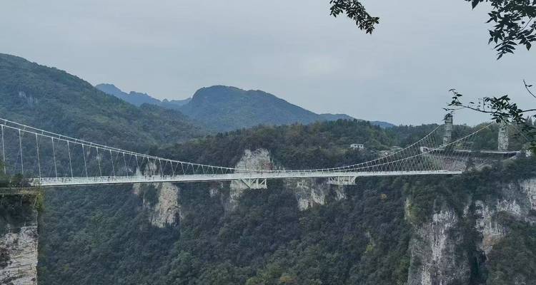 Long pont suspendu en verre enjambe un canyon forestier profond avec des montagnes karstiques brumeuses en arrière-plan.