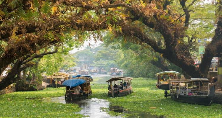 Des bateaux-maisons traditionnels glissent sous une voûte feuillue sur le canal des backwaters du Kerala rempli de végétation flottante.