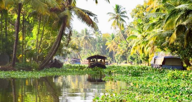 Une seule péniche en bois navigue le long d'un canal tranquille bordé de palmiers et entouré d'une végétation luxuriante.