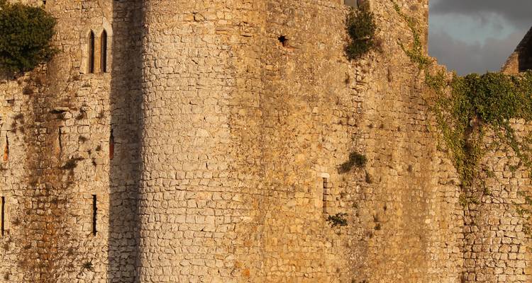 Luz cálida del atardecer sobre los muros de piedra rugosa y las torres de un castillo medieval.