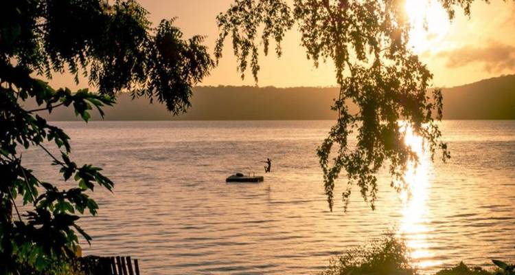 Coucher de soleil doré sur un large lac avec la silhouette d'un pratiquant de paddle et des branches feuillues qui surplombent.