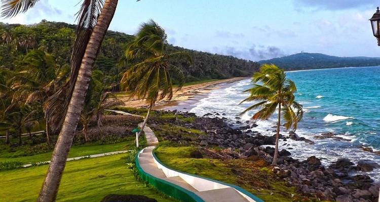 Palmeras que se mecen y una costa rocosa se encuentran con las aguas azul vívido del Caribe en un día ventoso.