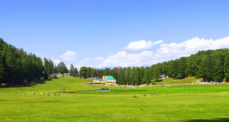 Grüne, sanft gewellte Wiese mit vereinzelten Besuchern, umgeben von Zedernwäldern unter einem strahlend blauen Himmel.