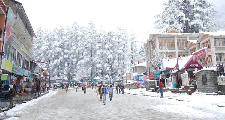 Schneebedeckte Fußgängerzone gesäumt von Geschäften und hohen schneebeladenen Bäumen, belebt mit Menschen.