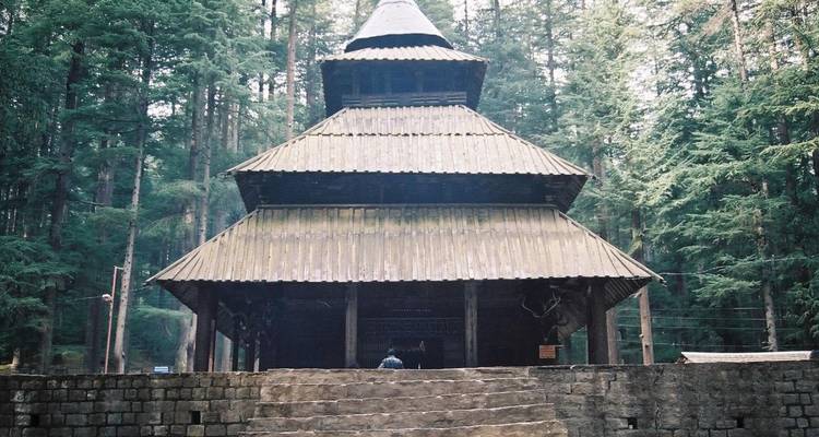 Traditioneller mehrstöckiger Holztempel, umgeben von hohen Zedernbäumen.