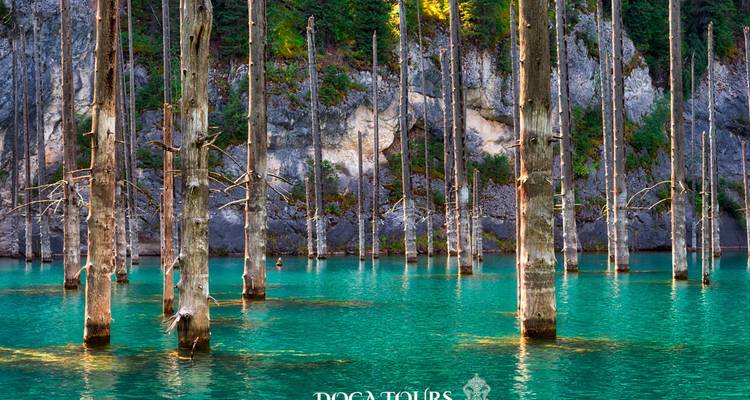 Eau émeraude remplie de troncs d'arbres submergés dressés du lac Kaindy, filigrane visible.