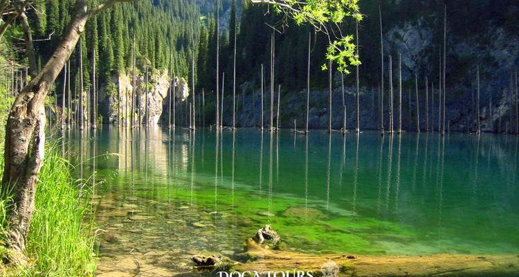 Lac alpin serein bordé de conifères avec des troncs d'arbres submergés et un texte de filigrane en bas.
