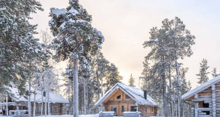 Blokhutjes nestelen zich tussen hoge met sneeuw beladen dennen onder een bleke winterhemel in Fins Lapland.