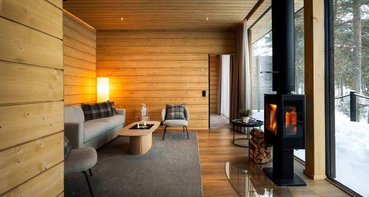 Gezellige woonkamer in Scandinavische stijl met grote ramen die uitkijken op een besneeuwde bos