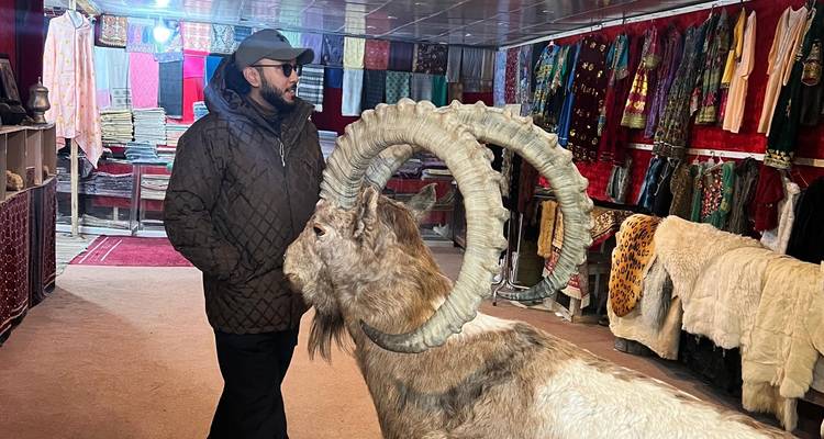 Un homme portant des lunettes de soleil regarde un bouquetin empaillé dans une boutique d'artisanat colorée bordée de vêtements traditionnels et de fourrures.