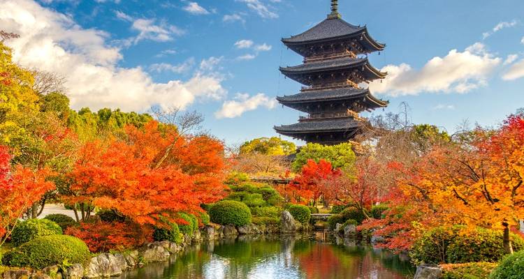 Herfst tuinvijver met levendige rode esdoorns en een meerlagige pagode.