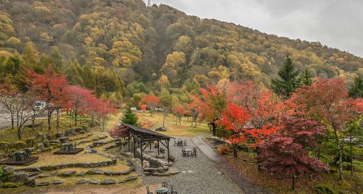 Bergvallei bezaaid met gemengd herfstloof onder een bewolkte hemel.