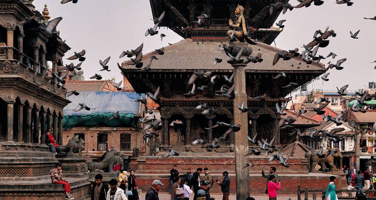 Des centaines de pigeons s'envolent autour des temples-pagodes ornés tandis que les visiteurs se promènent sur la place Durbar de Katmandou.
