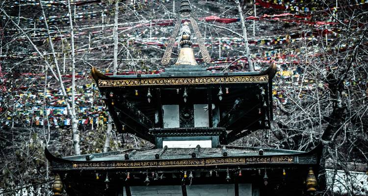 Ornate tiered pagoda roof with gilded finial surrounded by a forest of bare trees and strings of prayer flags.