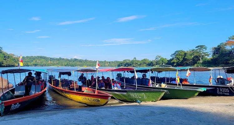 Colorful motorboats lined up along a sandy riverbank on a bright tropical morning.