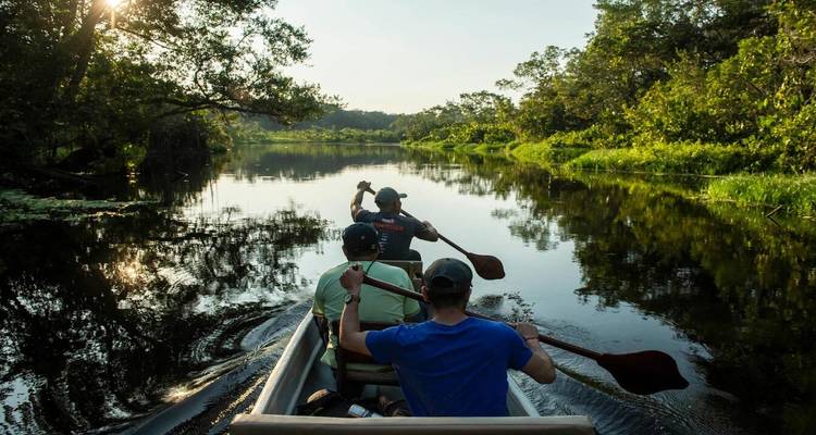 Canoe glides through calm jungle river as paddlers navigate under dappled sunlight.