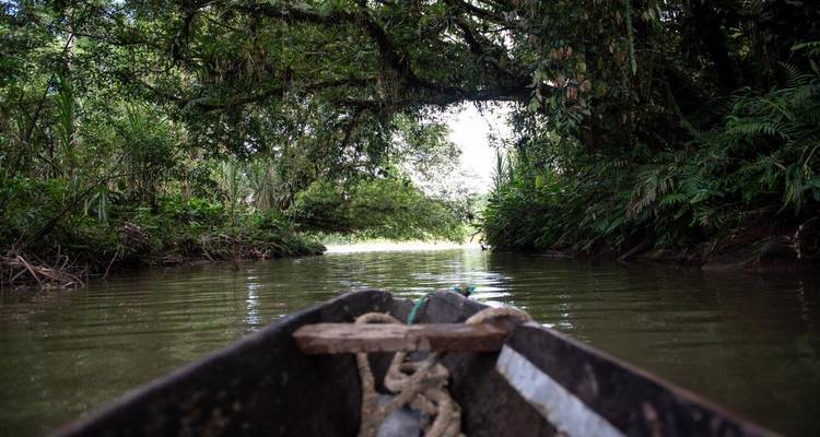 Bow of a dugout canoe enters a tunnel of dense green vegetation along a narrow creek.