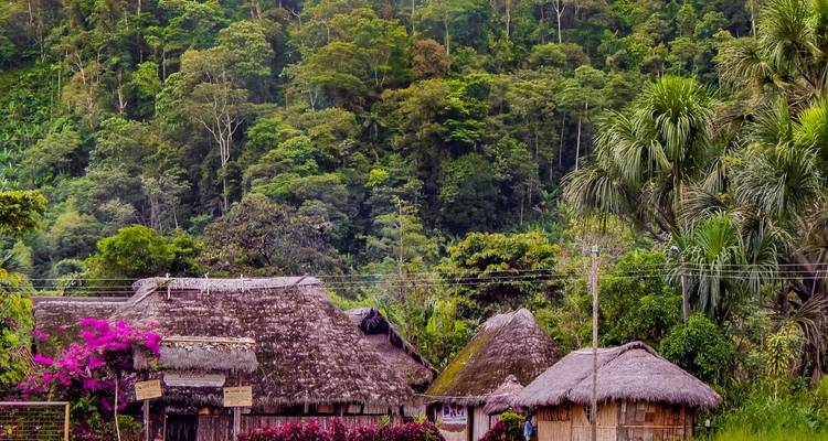 Traditional thatched huts framed by bright flowers and dense rainforest backdrop.