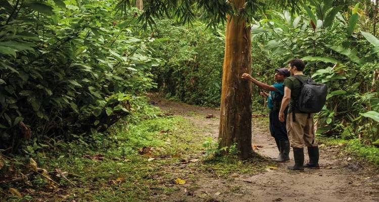A guide and visitor examine a tree along a muddy jungle trail surrounded by lush vegetation.