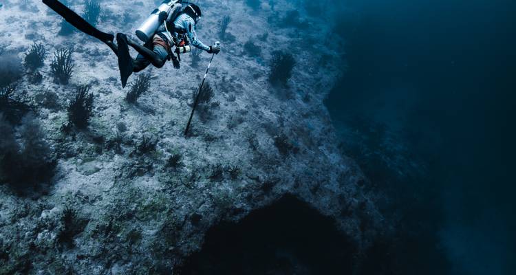 Buceador explorando una pared de arrecife submarino con una lanza en la mano