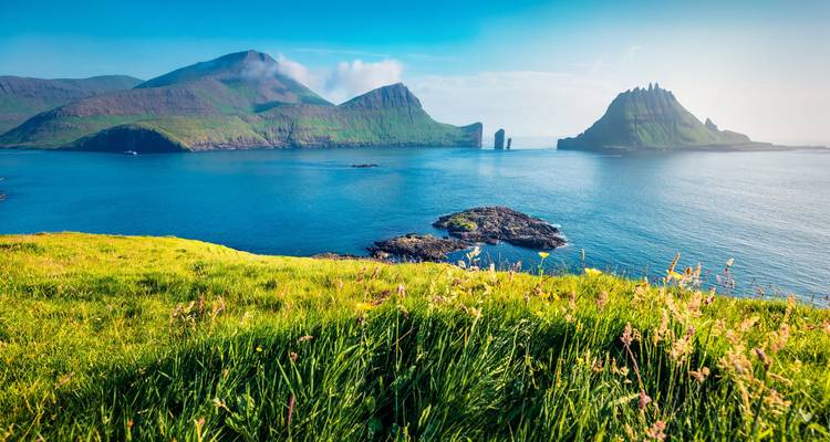 Lebendige grüne Küstenwiese überblickt türkisfarbenes Wasser und die dramatischen Felsentürme von Drangarnir unter einem strahlend blauen Himmel.