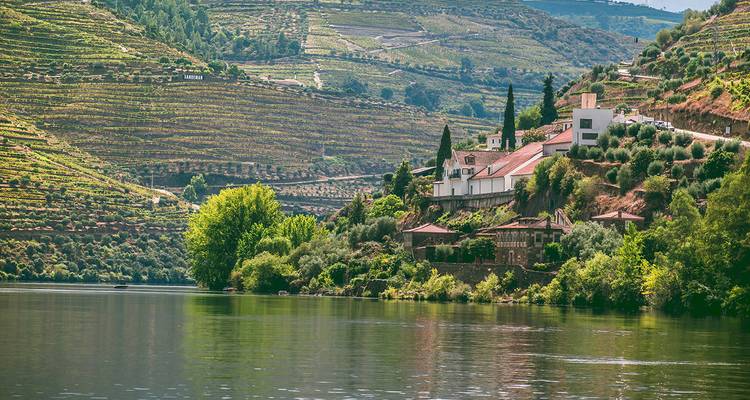 River gently flowing beside terraced vineyard slopes of the Douro Valley under soft light.