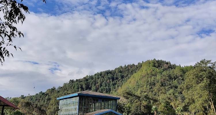 Serre aux murs de verre nichée au pied d'une colline boisée sous un ciel bleu avec des nuages épars.