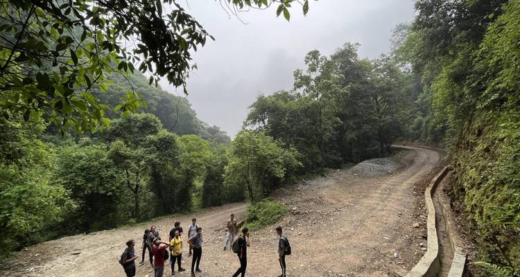Petit groupe de randonneurs debout sur un chemin de terre brumeux entouré d'une forêt dense et verdoyante.