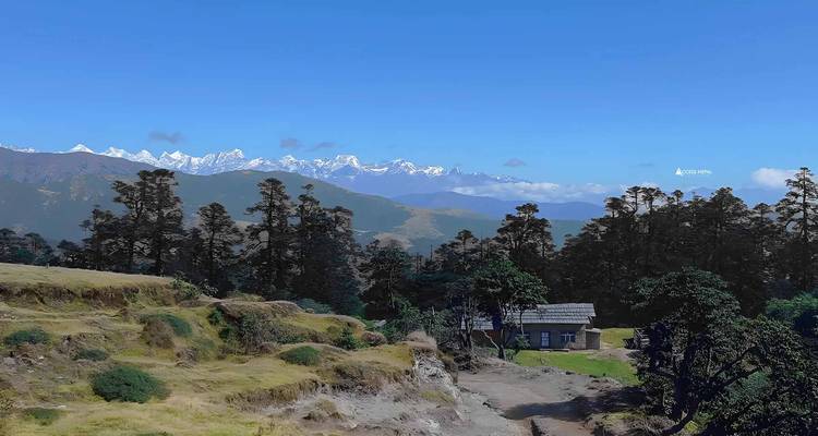 Vaste panorama himalayen avec des sommets enneigés s'élevant au-dessus de prairies alpines ondulantes et d'arbres conifères.
