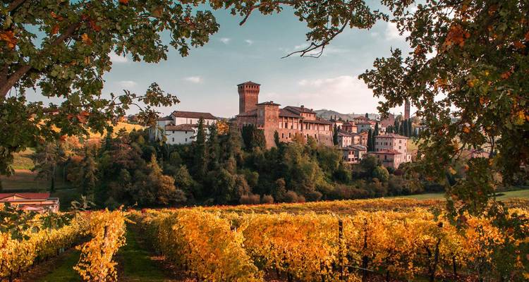 Des vignobles dorés encadrent un château médiéval perché et un village baignés dans la chaude lumière de fin de journée.