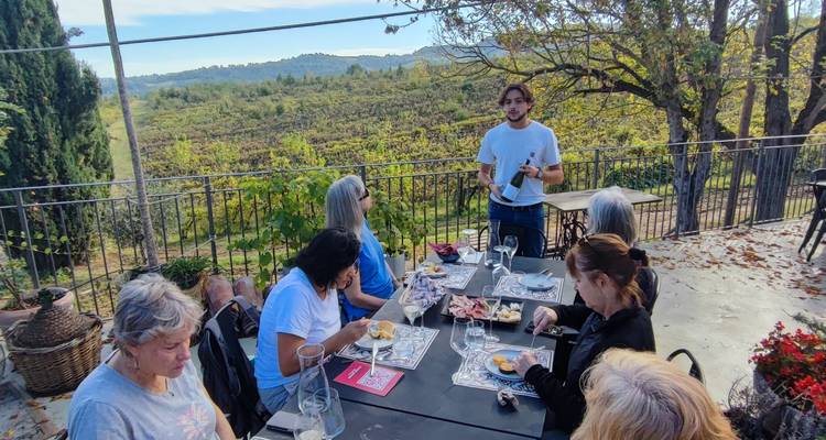 Un petit groupe savoure du vin et des collations sur une terrasse donnant sur des vignobles verdoyants et vallonnés.