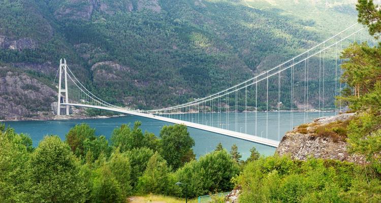 Elegante hangbrug die een brede fjord overspant, omringd door groene beboste bergen.