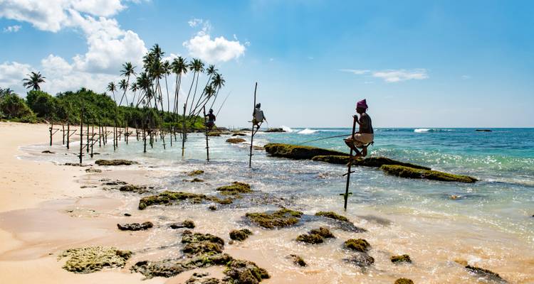 Des pêcheurs traditionnels sur échasses se perchent au-dessus des eaux peu profondes du récif sur une plage ensoleillée du Sri Lanka parsemée de palmiers et de rochers.